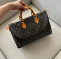 Louis Vuitton Monogram Speedy 35